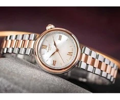 Laikrodis Tissot Desir T152.010.22.118.00