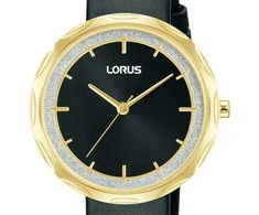Laikrodis LORUS RG244WX9