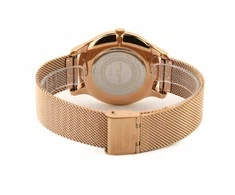 Laikrodis Pierre Cardin A.PC902731F03