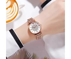Laikrodis SKMEI 1533RG