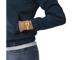 Laikrodis Tissot PR 100 Quartz Lady T150.210.33.021.00