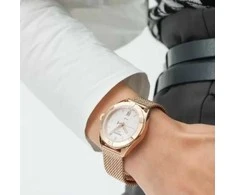 Laikrodis Tissot PR 100 Sport Chic T101.910.33.151.00
