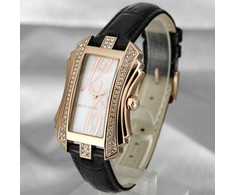 Laikrodis Pierre Cardin PC106022F06