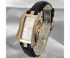 Laikrodis Pierre Cardin PC106022F06
