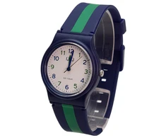 Laikrodis Q&amp;Q V06A-001VY