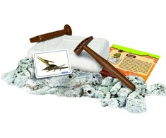 Dėlionė Clementoni Archeo Fun Pteranodon edukacinis rinkinys
