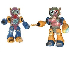 Interaktyvus robotas