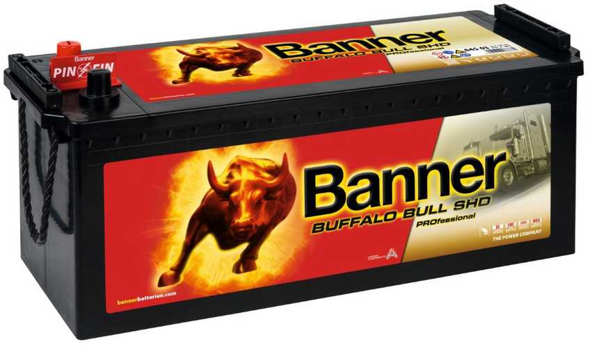 BANNER Buffalo PRO 64503 145Ah 12V 800A (EN) akumuliatorius
