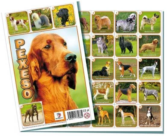 Dėlionė Rappa the pexeso pairs memory game, dogs