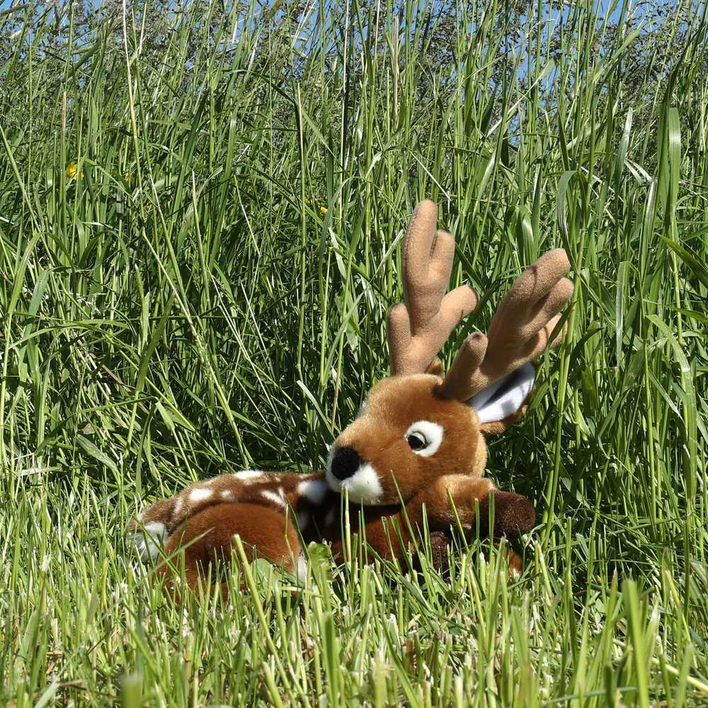Rappa Eco-Friendly Pliušinis žaislas - danielių jauniklis, 28 cm aprašymas - Prekės nuotrauka