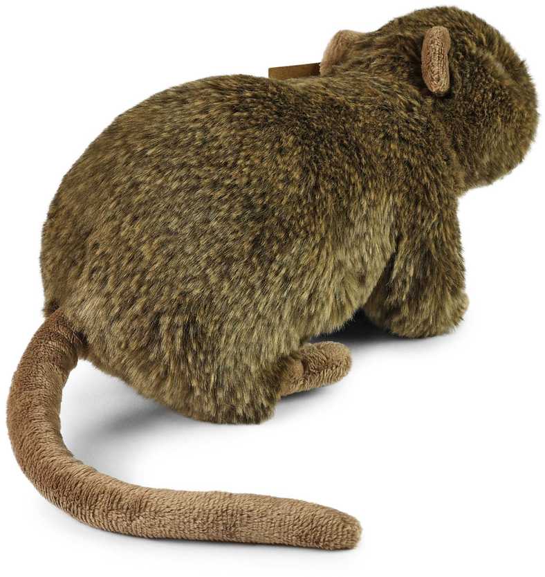 Rappa Eco-Friendly Pliušinis žaislas - nutrija, 27 cm aprašymas - Prekės nuotrauka