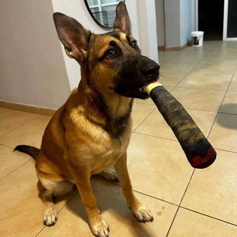 Žaislas šuniui pliušinis cigaras, 25cm