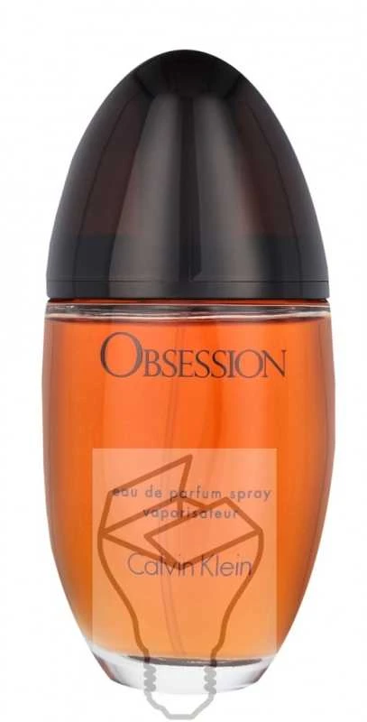 Kvepalai moterims Calvin Klein Obsession EDP, 100 ml