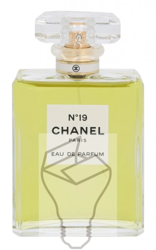Chanel No 19 EDP parfumuotas vanduo moterims, 100 ml