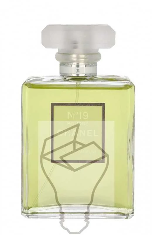 Chanel No 19 Poudre EDP parfumuotas vanduo moterims, 100 ml