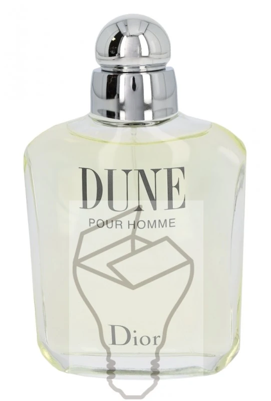 Christian Dior Dior Dune Homme EDT tualetinis vanduo unisex, 100 ml