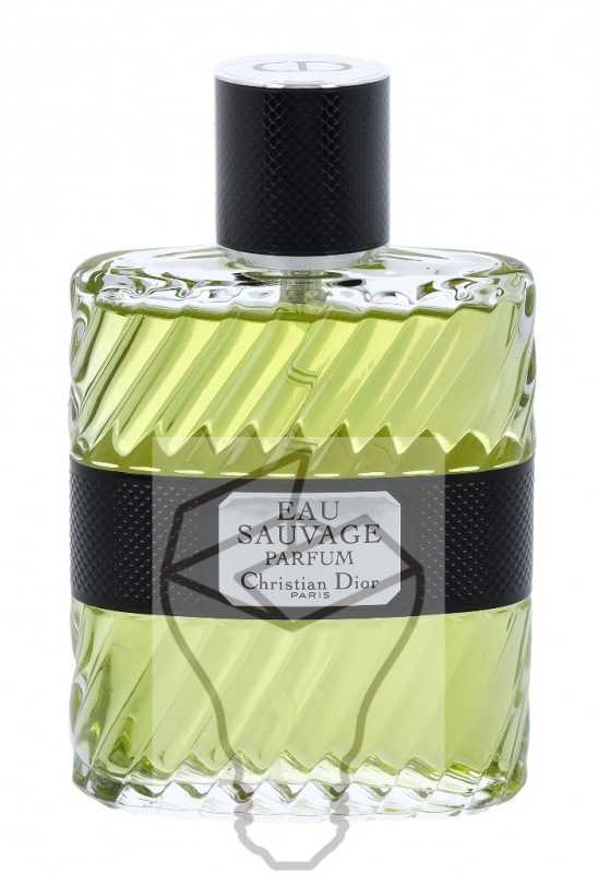 Kvepalai vyrams Christian Dior Eau Sauvage Parfum EDP, 100 ml
