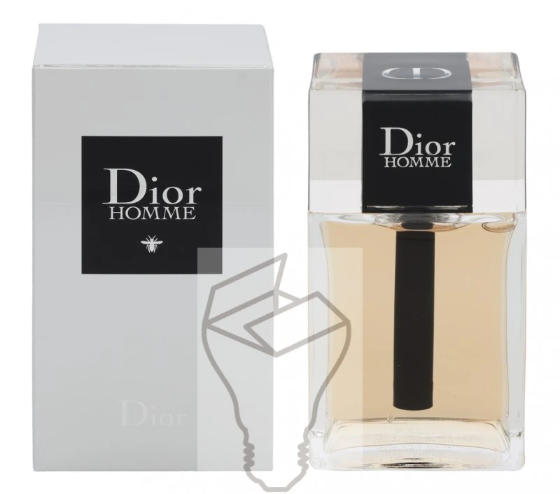 Kvepalai vyrams Christian Dior Homme EDT, 100 ml