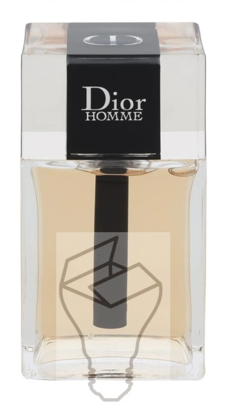 Kvepalai vyrams Christian Dior Homme EDT, 100 ml