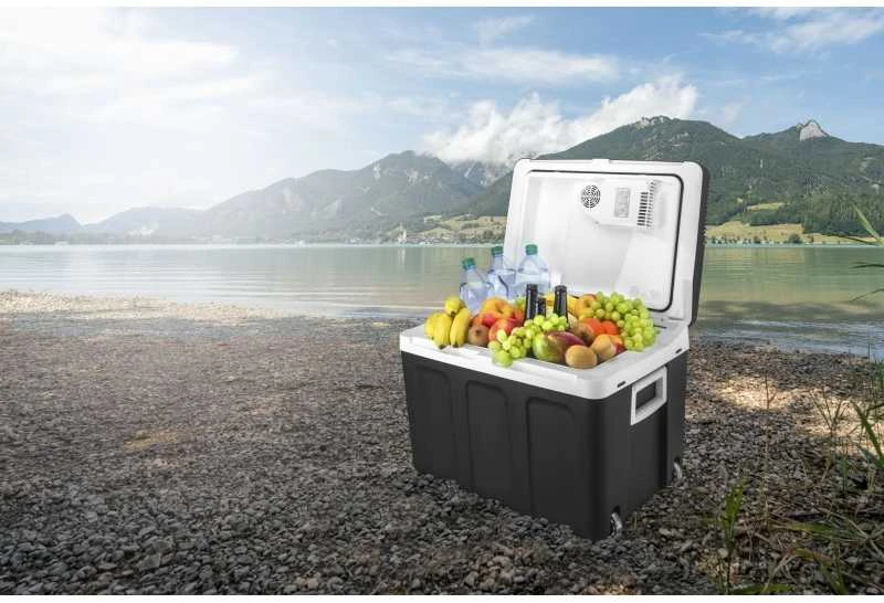 FIRSTAUSTRIA TZS First Austria Thermoelectric Cooling Box, 45L (40L Net), F, AC/DC, TROLLEY FA-5170-2-BA