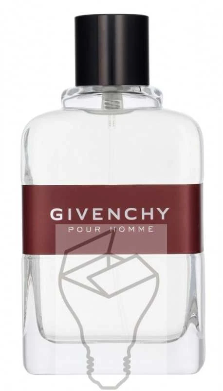 Kvepalai vyrams Givenchy Pour Homme EDT, 100 ml