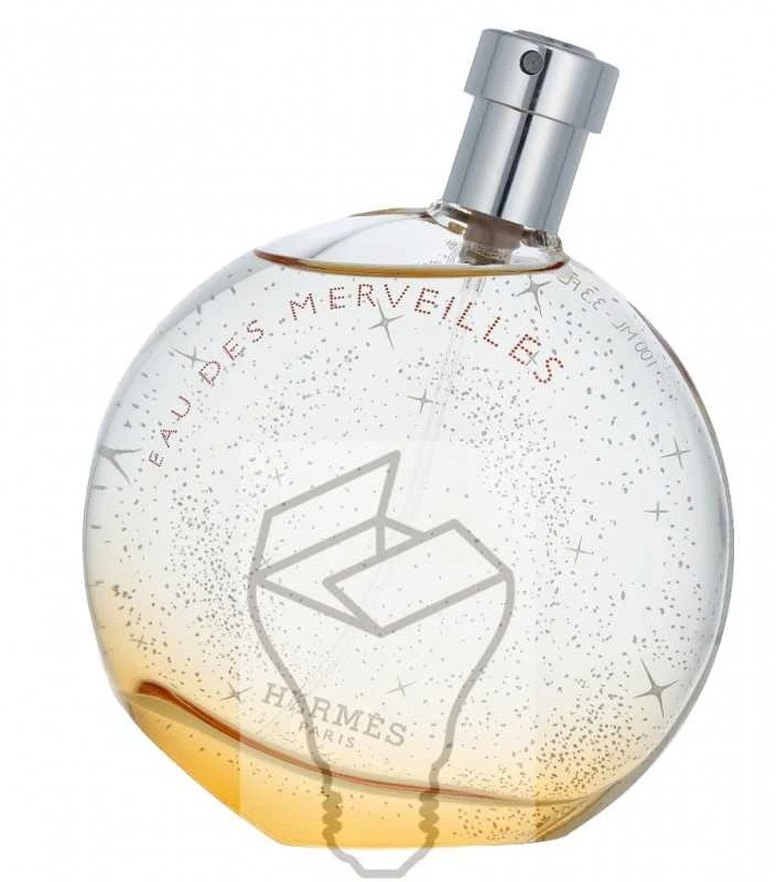 Hermes Eau Des Merveilles EDT tualetinis vanduo moterims, 100 ml
