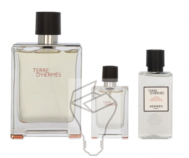 Terre DHermes Eau De Toilette Purškiklis 100ml rinkinys vyrams 3 vnt