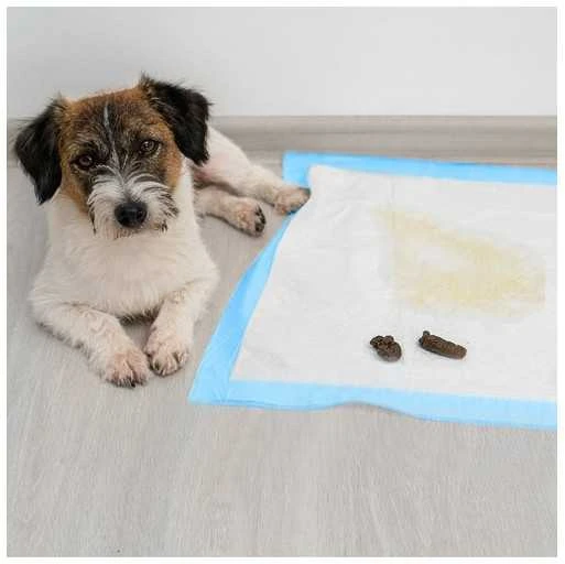 Higieninis įklotas 60x60cm 50 vnt Purlov 21600