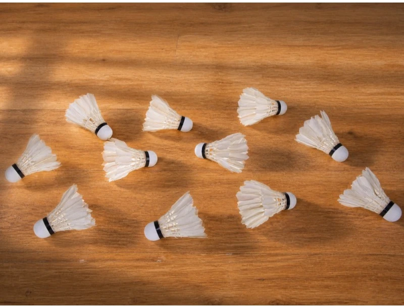 Jokomisiada Badminton shuttlecocks made of natural feathers - set of 12 in a tube SP0863
