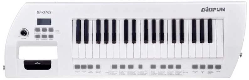 Jokomisiada Elektrinis pianinas plius mikrofonas, žaislinis instrumentas vaikams IN0173