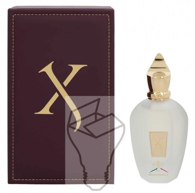 Xerjoff Renaissance EDP parfumuotas vanduo Unisex, 100 ml