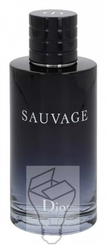 Kvepalai vyrams Christian Dior Sauvage EDT, 200 ml