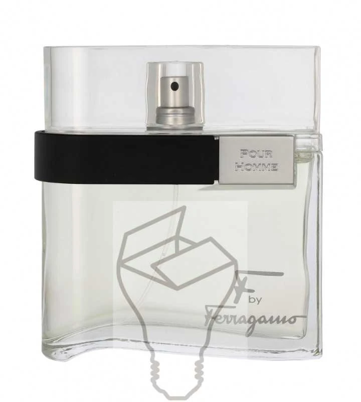 Kvepalai vyrams Salvatore Ferragamo F EDT 100ml