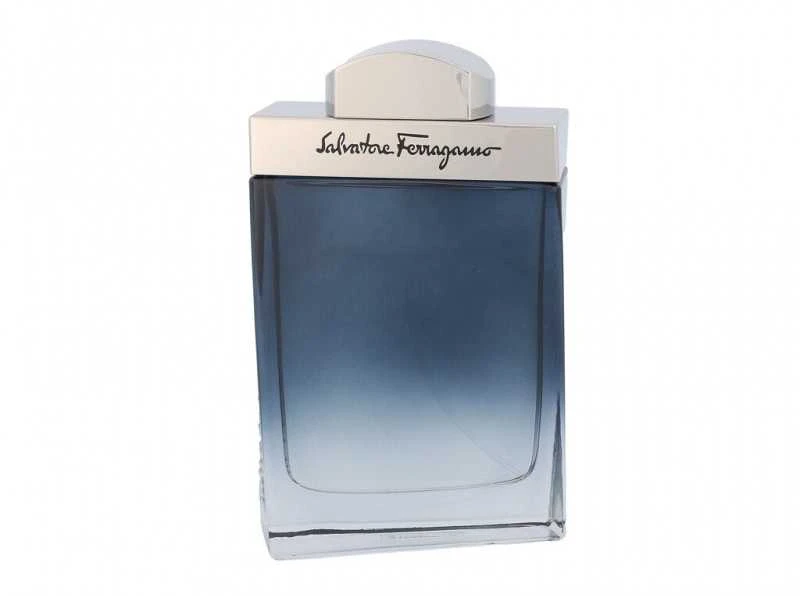 Salvatore Ferragamo Subtil Pour Homme EDT tualetinis vanduo vyrams, 100 ml