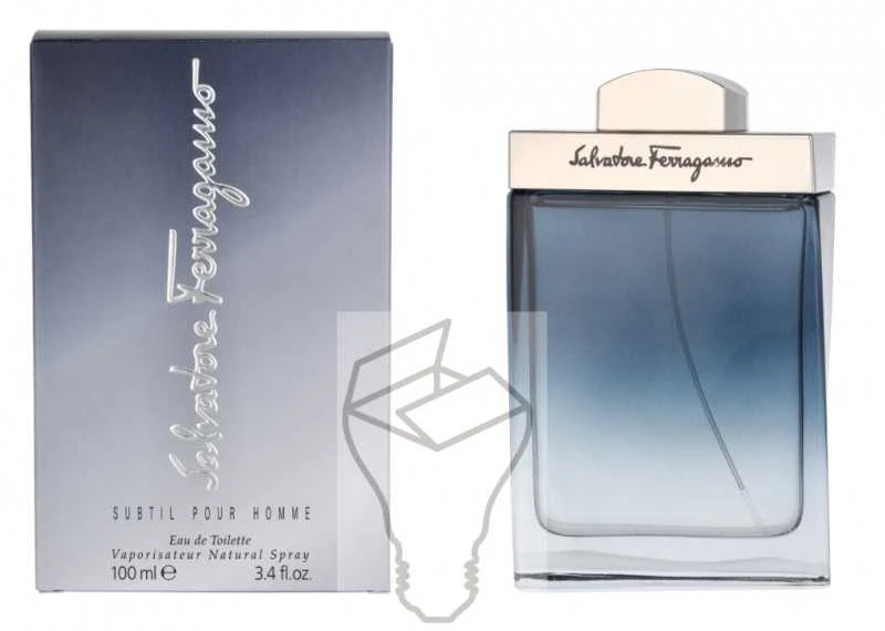 Salvatore Ferragamo Subtil Pour Homme EDT tualetinis vanduo vyrams, 100 ml