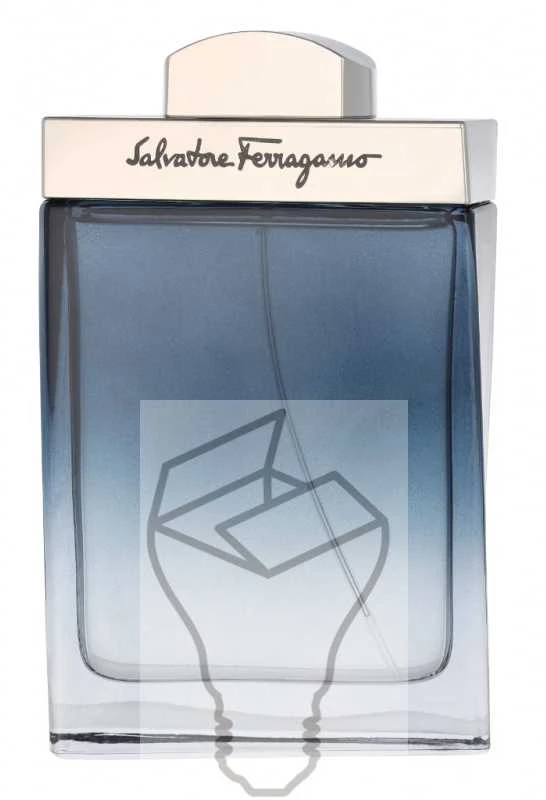 Salvatore Ferragamo Subtil Pour Homme EDT tualetinis vanduo vyrams, 100 ml