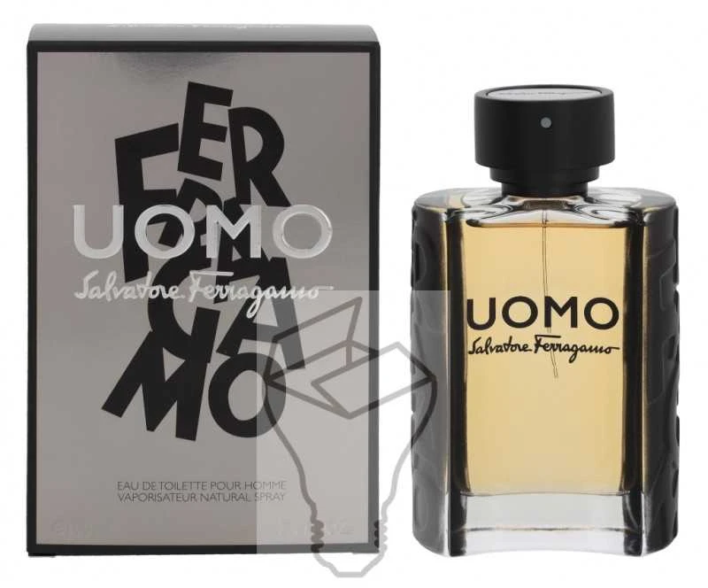 Salvatore Ferragamo Uomo EDT tualetinis vanduo unisex, 100 ml