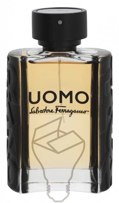Salvatore Ferragamo Uomo EDT tualetinis vanduo unisex, 100 ml