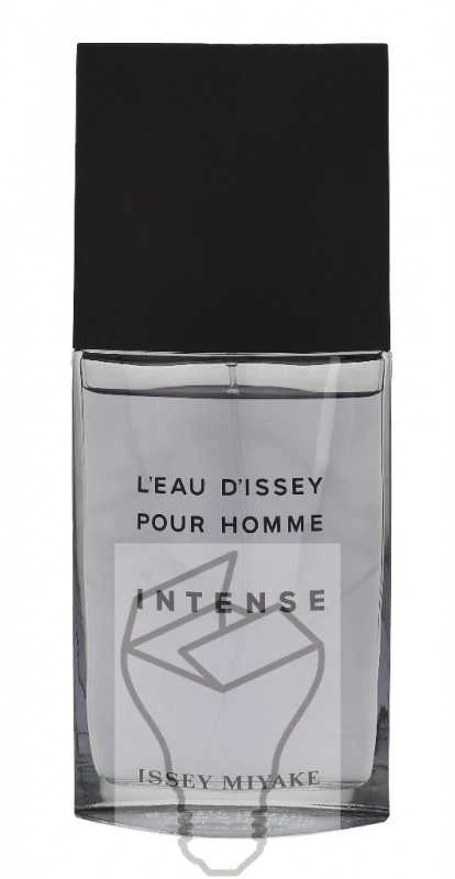 Kvepalai vyrams Issey Miyake L'Eau D'Issey Intense EDT, 125 ml