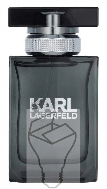Tualetinis vanduo Karl Lagerfeld Pour Homme Eau De Toilette Purškiklis, 50ml