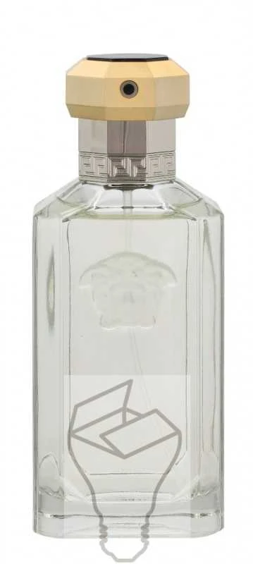 Kvepalai vyrams Versace The Dreamer EDT, 100 ml