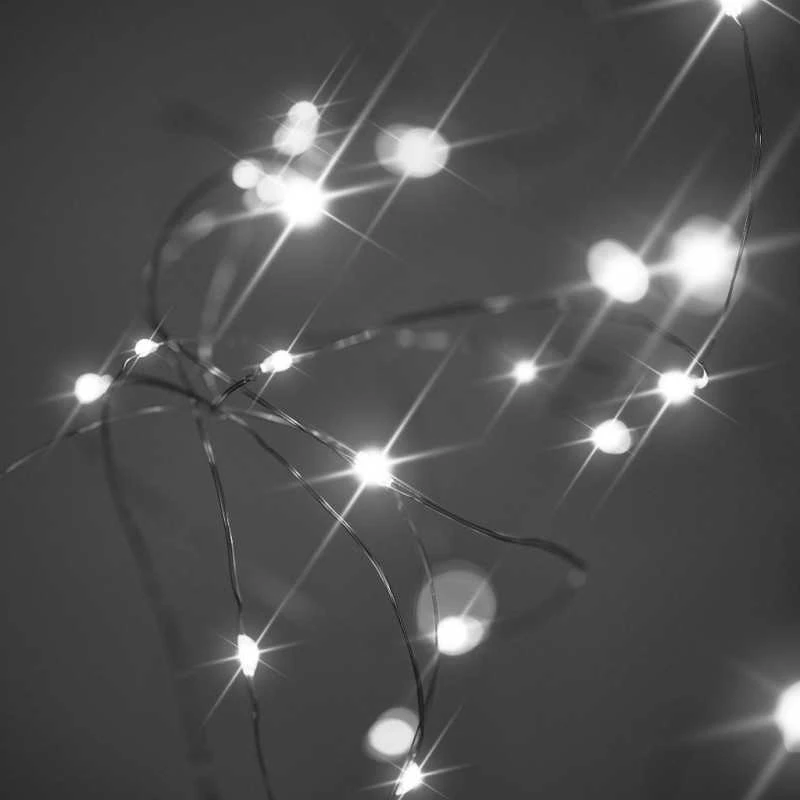 LED dekoratyvinis apšvietimas 10m 100LED šaltai balta