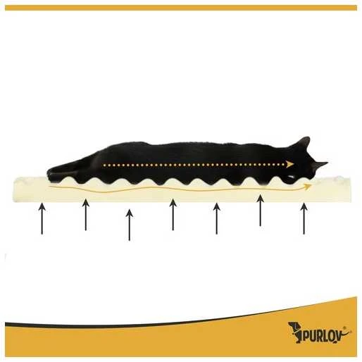 Ergonomic pet bed S Purlov 26914