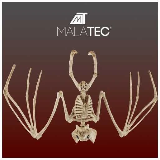 Šikšnosparnio skeletas - dekoracija 30 cm Malatec 22005