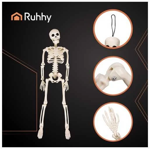 Skeletas - dekoracija 40cm Ruhhy 26027