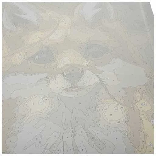 Maaleo Tapyba pagal skaičius - Lapė 40X50CM PREMIUM