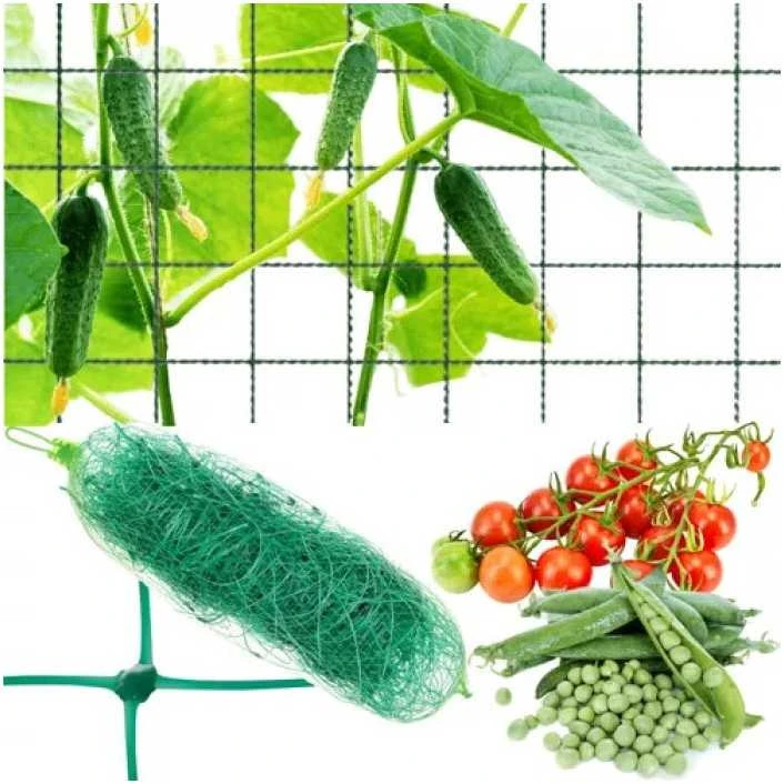 Tinklas vijokliniams augalams 2x10m Gardlov 23978
