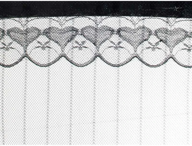 Roger Uodų tinklelis magnetinis durų ekranas 100x210cm