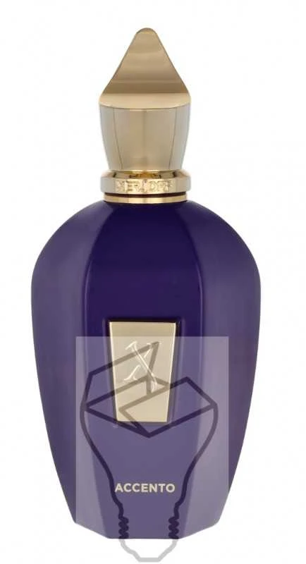 Xerjoff Accento EDP parfumuotas vanduo unisex, 100 ml