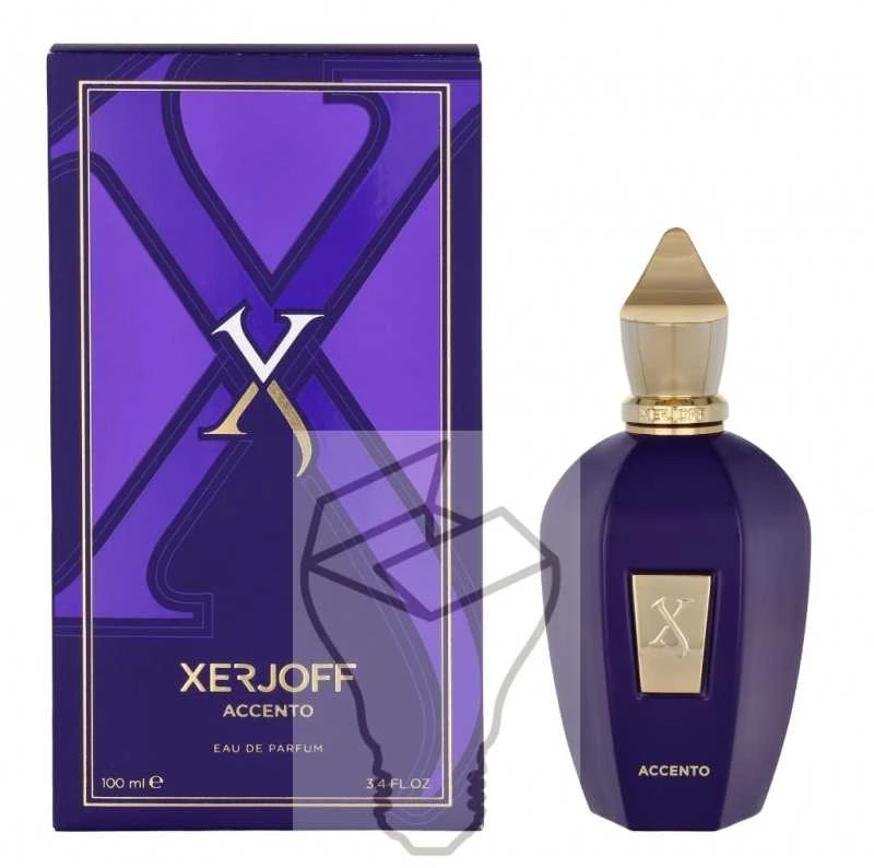 Xerjoff Accento EDP parfumuotas vanduo unisex, 100 ml